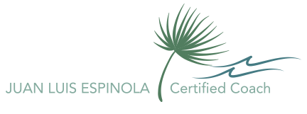 PUNTA CANA RECOVERY