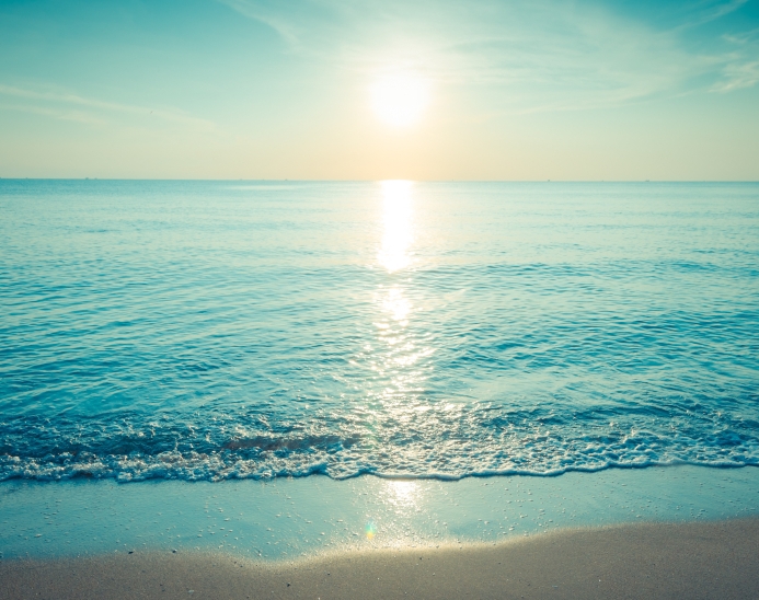 “…The purpose of the laws of the Torah is to promote compassion, loving-kindness and peace in the world”. - Moses Maimonides