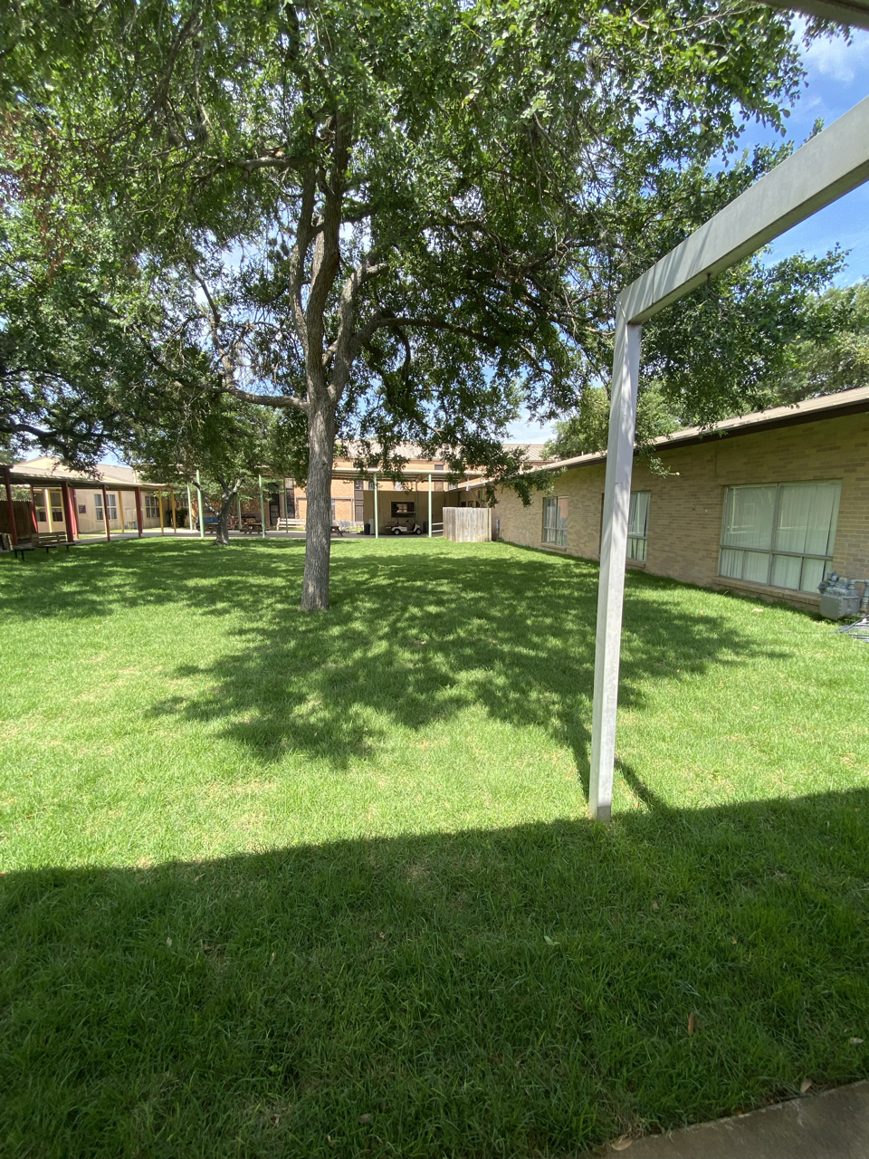 A lush green grassy yard with a large tree providing shade, adjacent to a brick building with windows. Shadow of the tree falls on the ground, and the sky is partly cloudy.