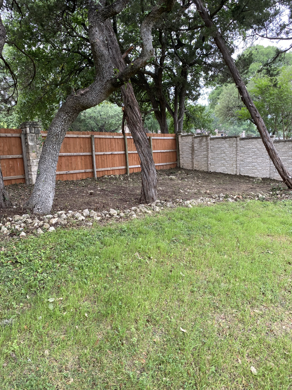 A backyard with a grassy lawn, several trees, a wooden fence, and a stone wall in the background.