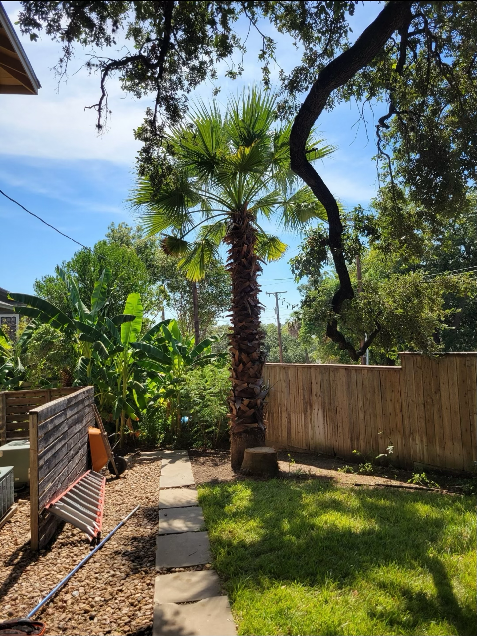 1000002459 Large.png