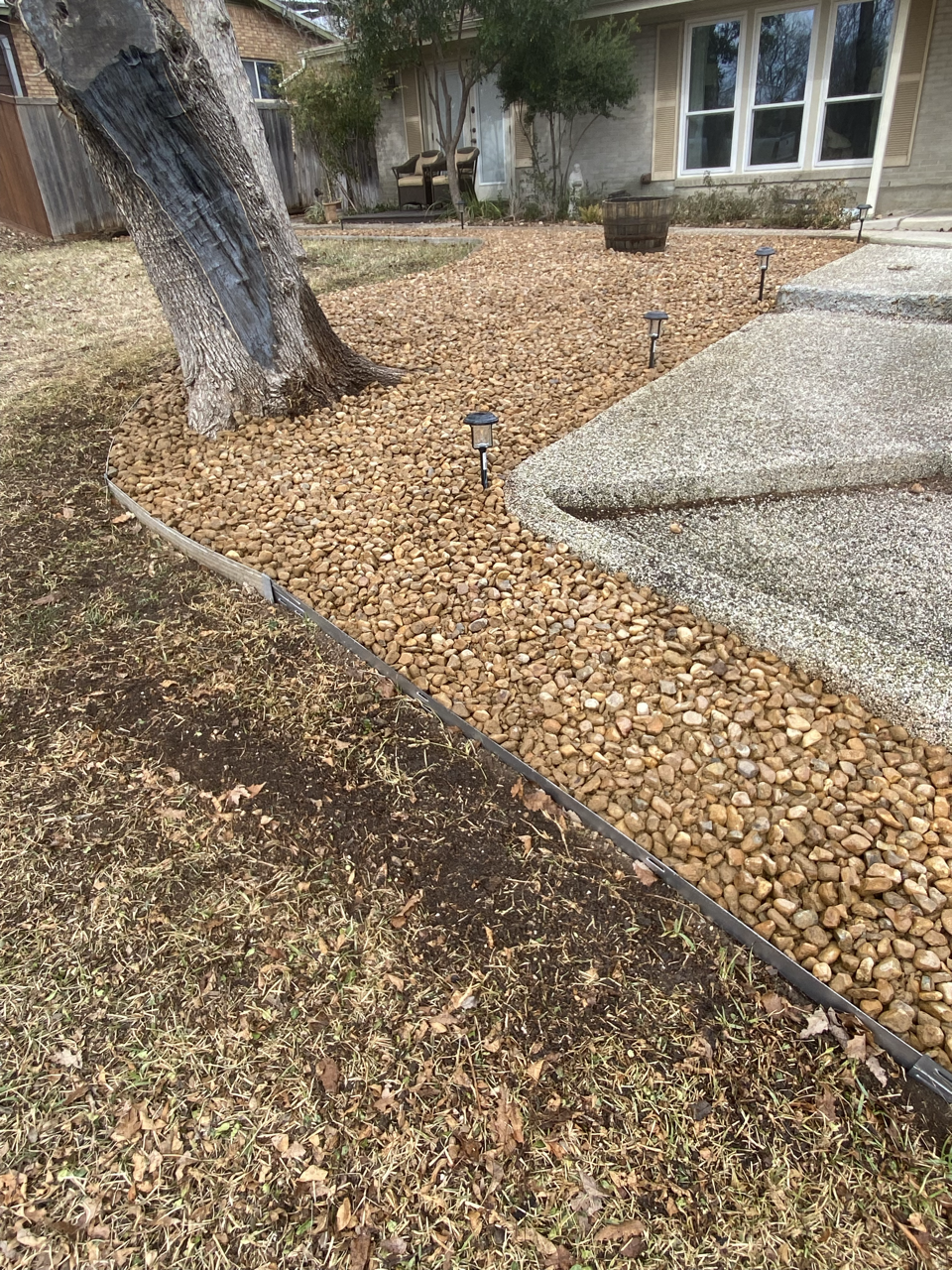 A backyard with a large tree, gravel mulch around it, and solar pathway lights along the edge of a concrete patio.