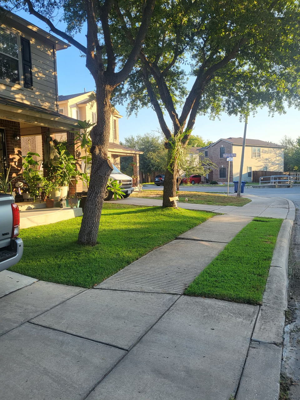 1000001006 Large.png