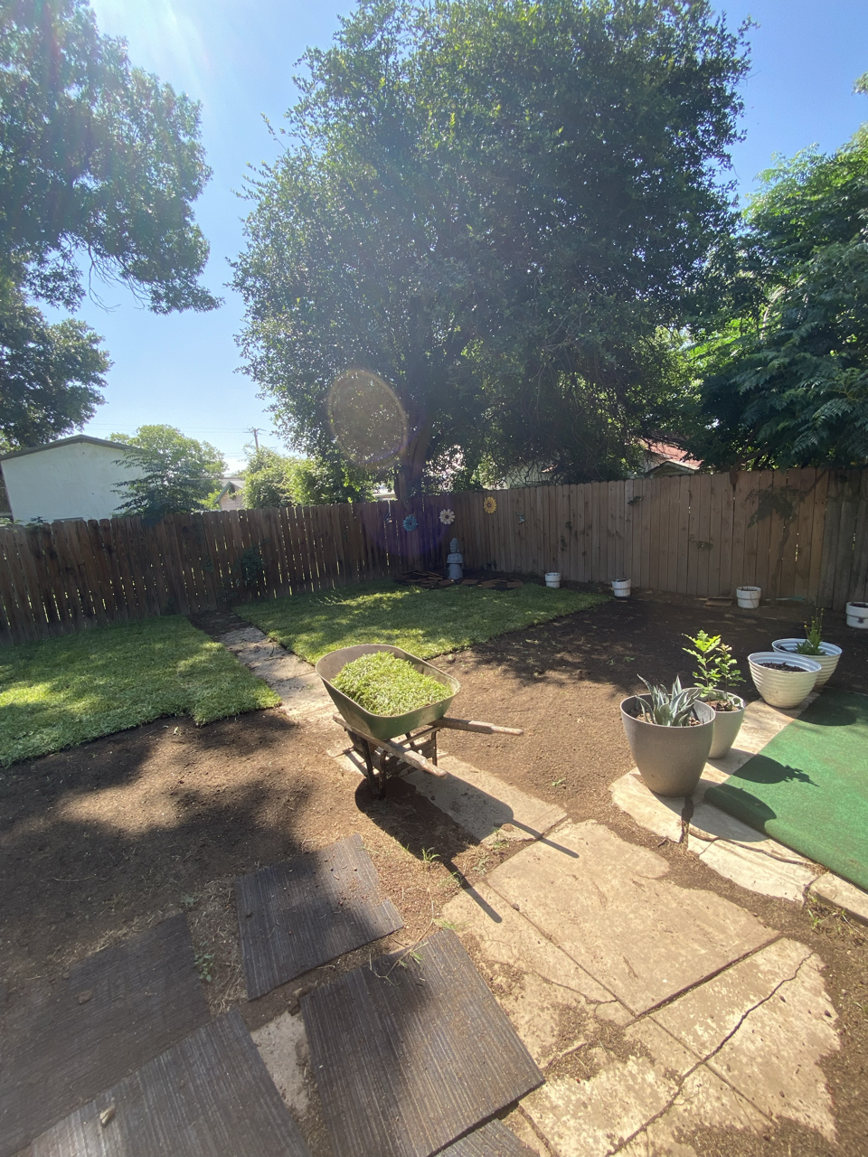 A backyard garden with a wooden fence, a tree, potted plants, a green pathway, and a wheelbarrow with soil under sunny weather.