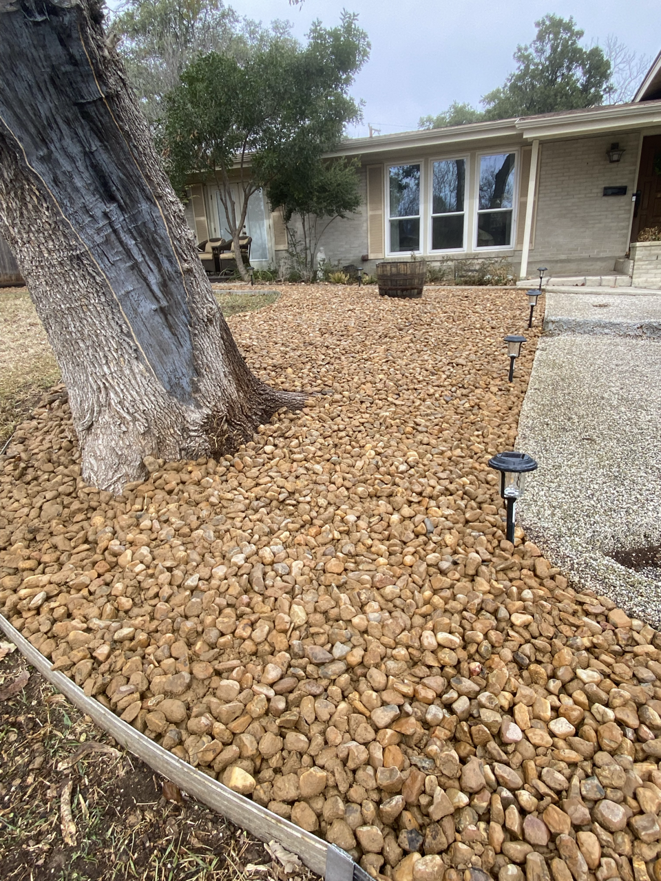 A landscaped yard with a large tree, a gravel ground cover, a small planter, solar pathway lights, and a house with large windows and a brick exterior.