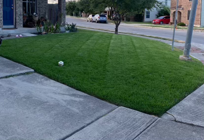 Well-maintained front yard with green grass, a sidewalk, and a soccer ball on the grass.