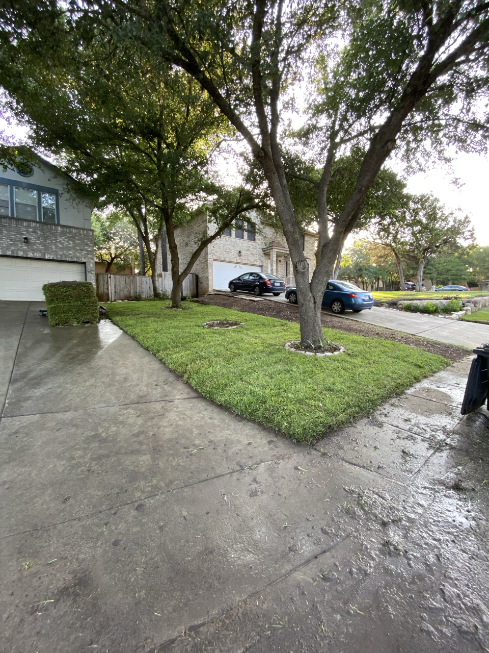 Residential front yard with green grass, trees, and parked cars in a neighborhood.