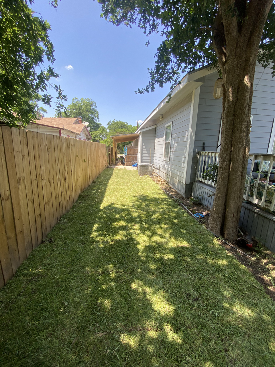 A backyard with a grassy lawn, a wooden fence on the left, a house with light-colored siding on the right, and a large tree in front casting shade. The sky is clear and blue.