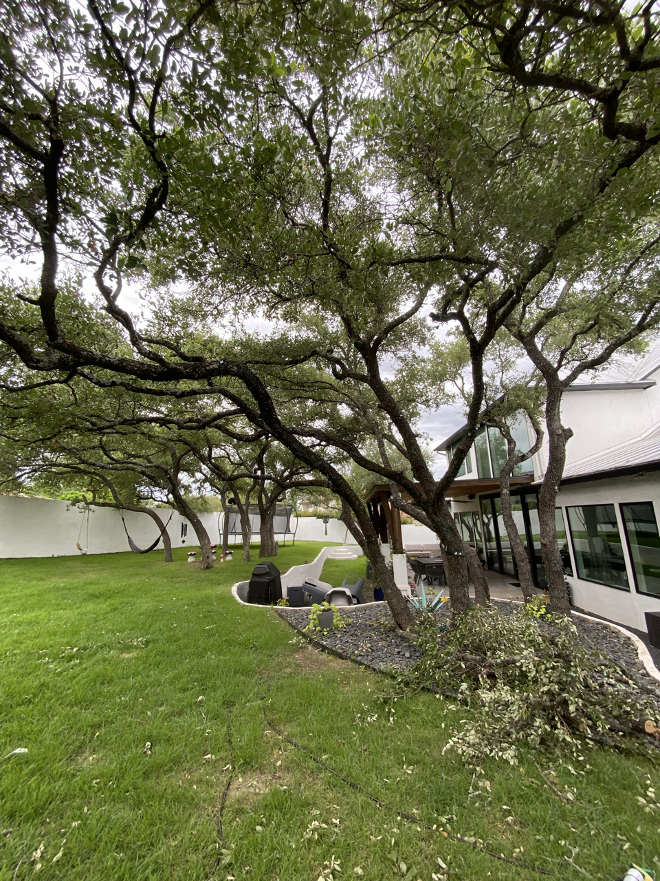 A backyard with a large tree, some fallen branches, green grass, patio furniture, a barbecue grill, and a house with large windows.