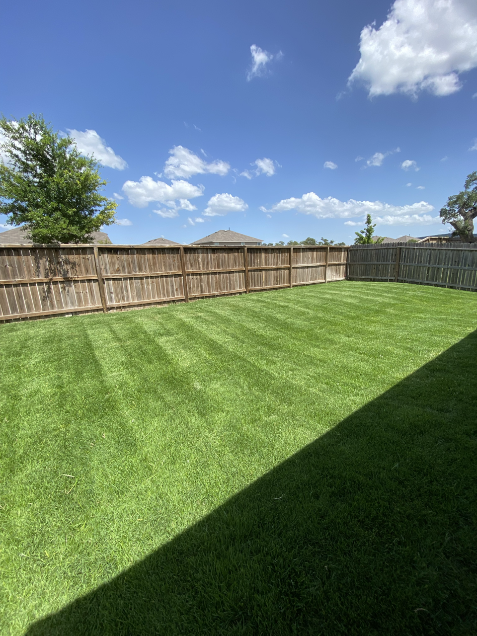 A backyard with a freshly mowed grass lawn, wooden privacy fence, a few trees, and a blue sky with scattered clouds.