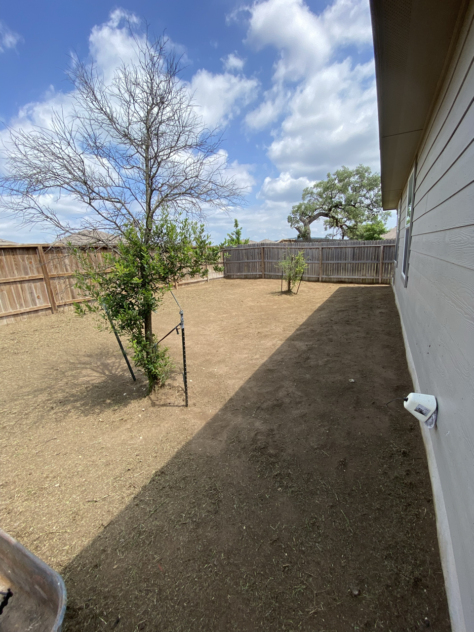 Backyard with bare ground, two trees, wooden fence, partially shaded area, and a white house wall with a small window and outdoor electrical outlet.