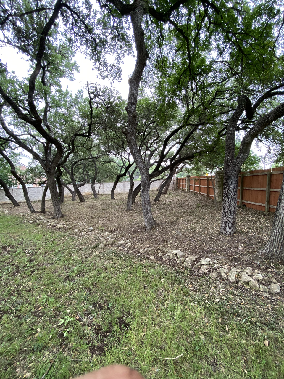 A yard with several trees and a wooden fence along the right side, with some grass and a dirt area.