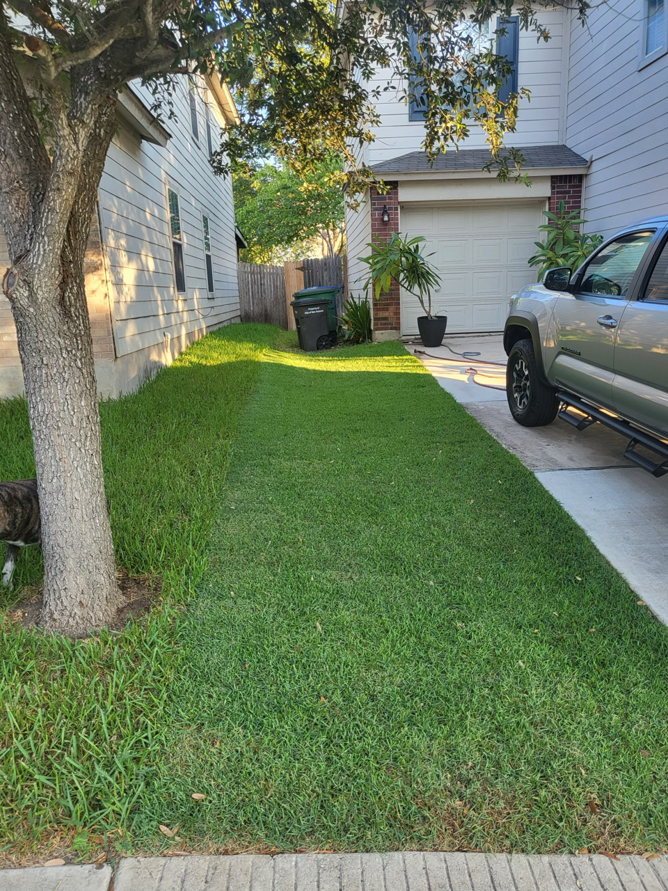 1000000955 Large.png