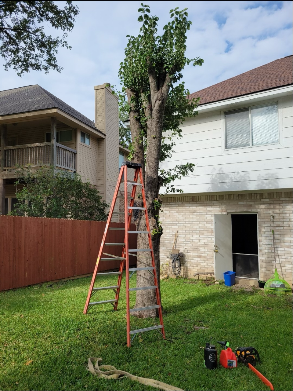 1000002471 Large.png