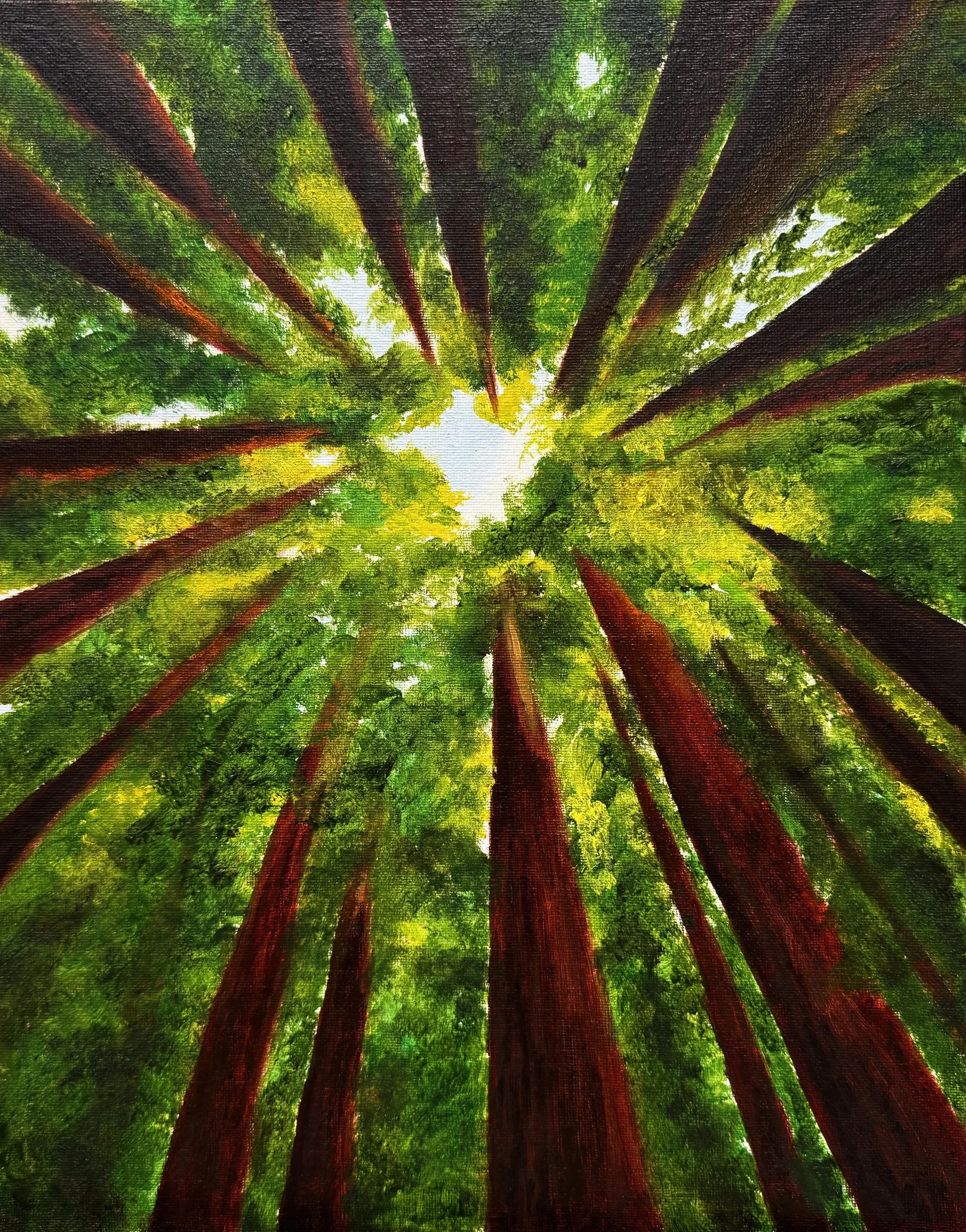 Tree Portraiture in Oil