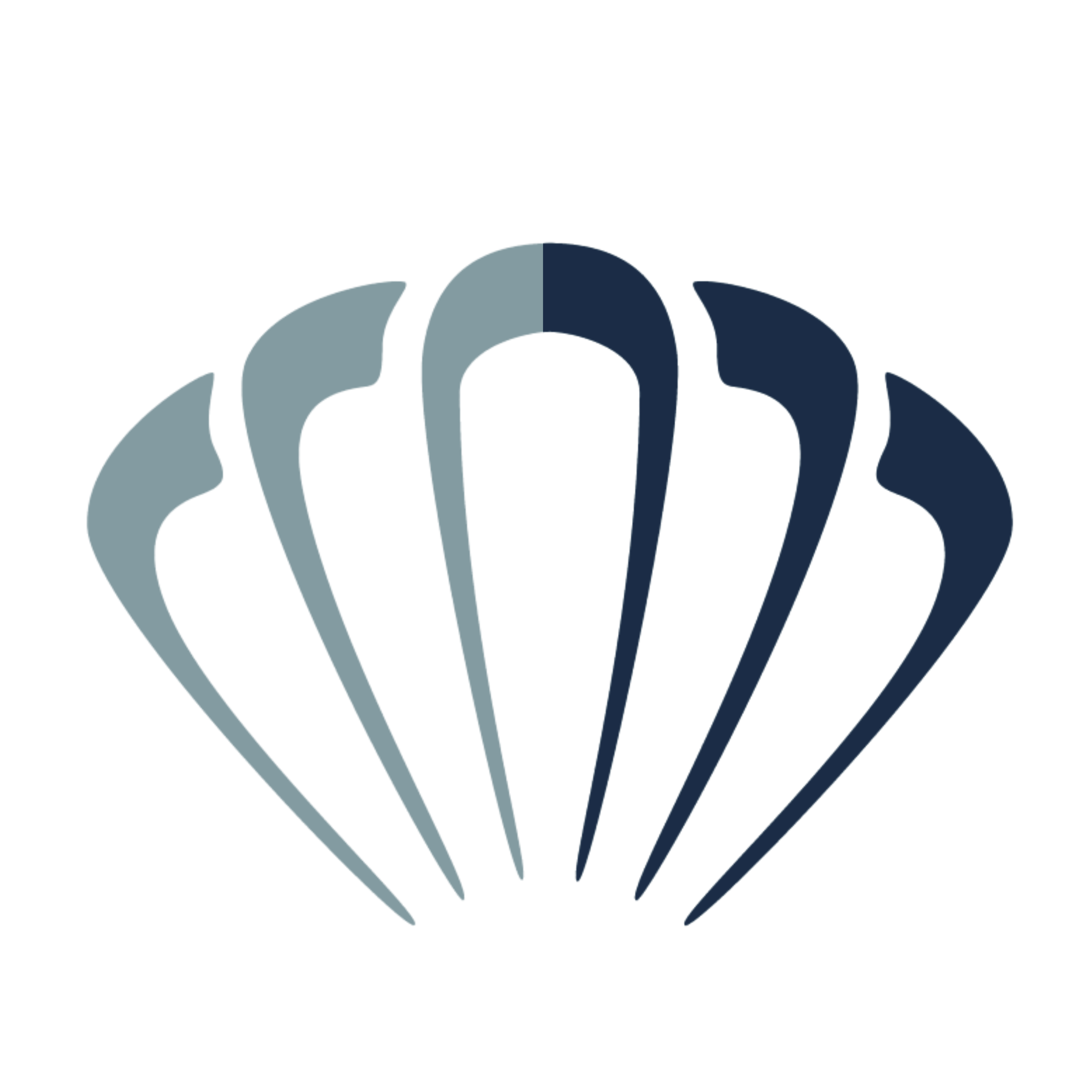 A stylized shield logo with a central upward-pointing triangle and surrounding curved shapes in red, gray, and dark blue.