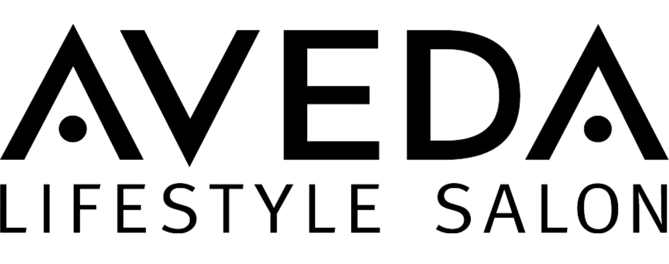 Text logo reading "AVEDA THE STYLE SALON" in black font.