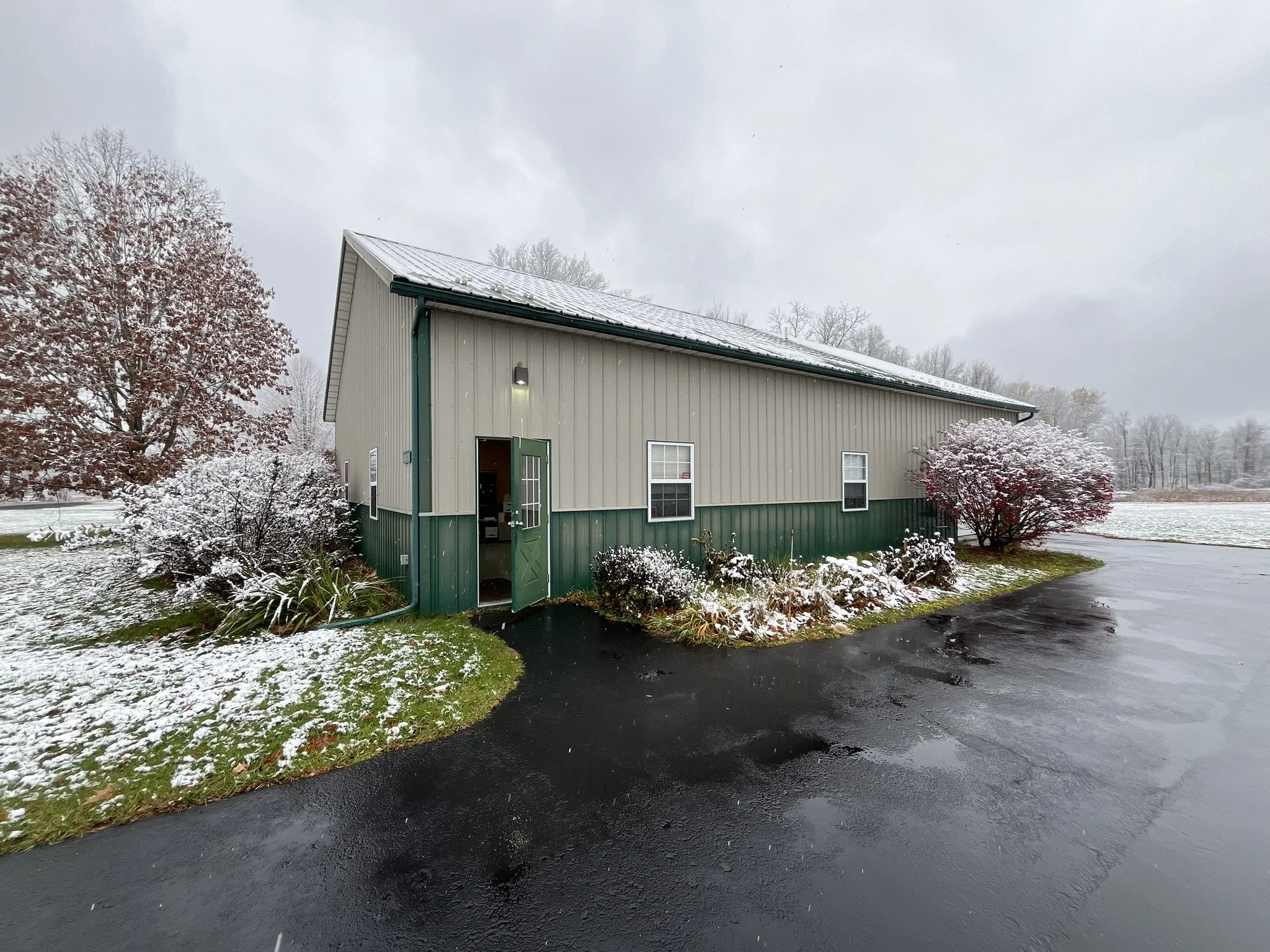 A beige garage with green trim on a snowy day, surrounded by trees and bushes with snow, with a dark paved driveway in the foreground.