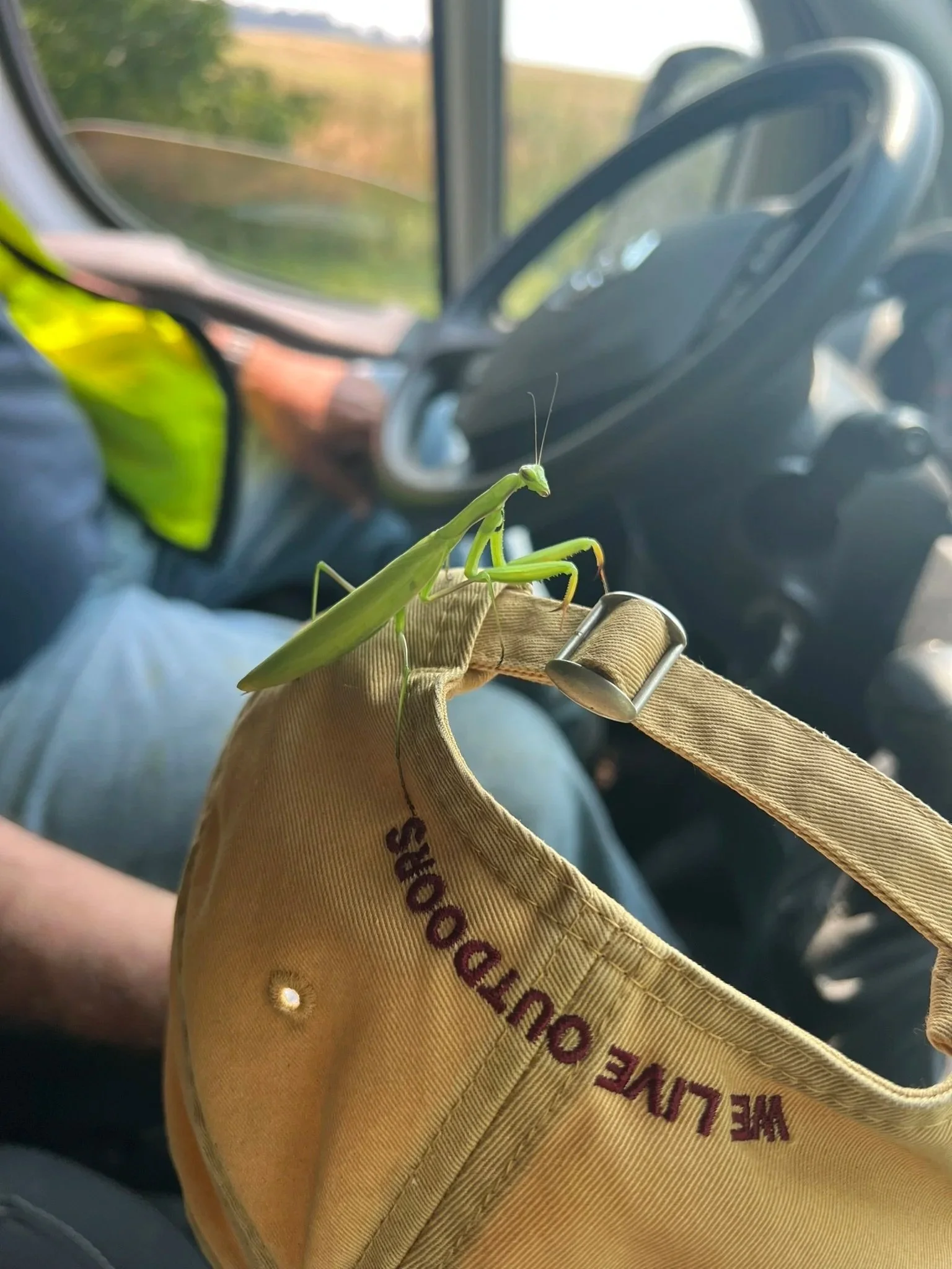 A green praying mantis perched on a beige glove inside a vehicle, with a blurred view of the outside landscape visible through the window.