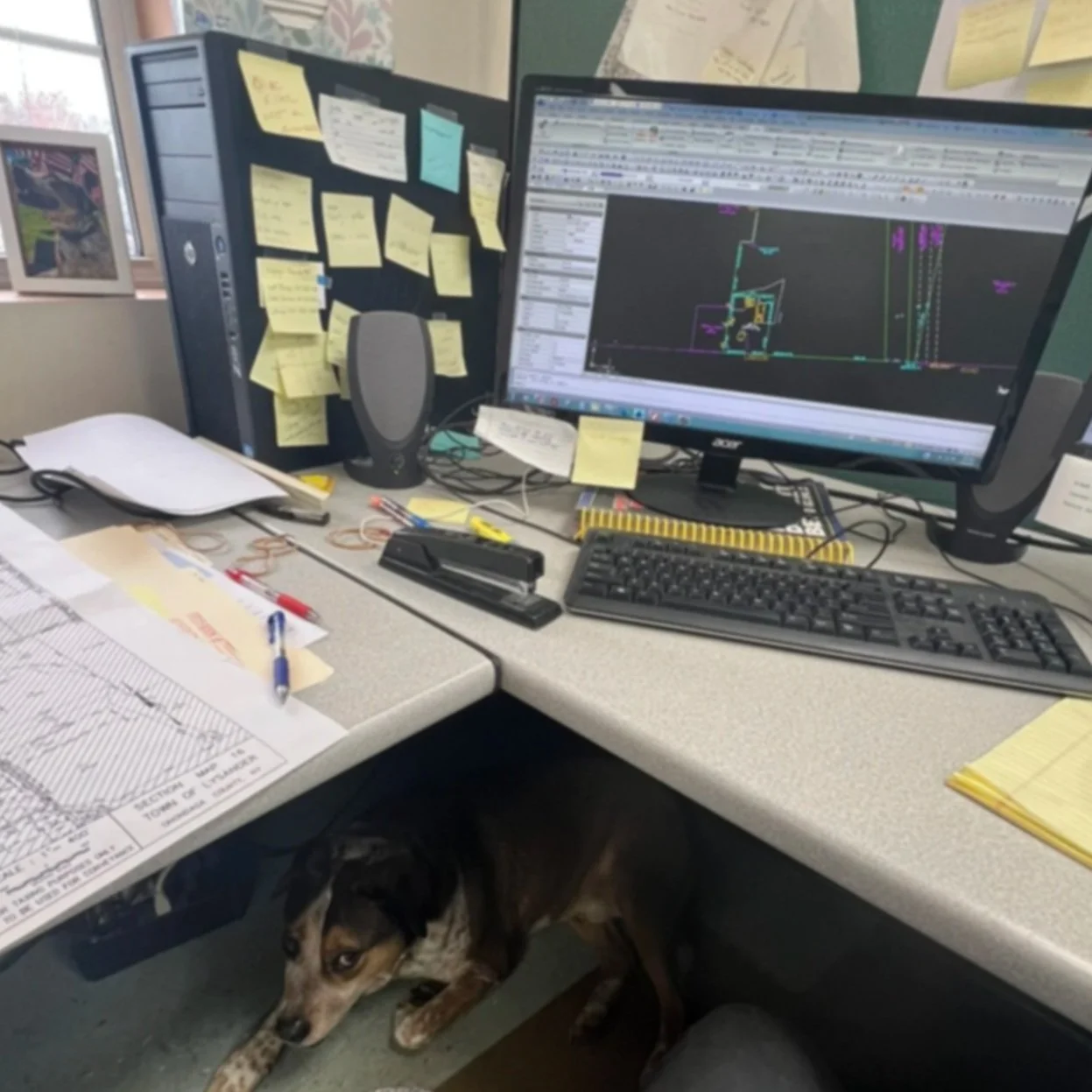 Office desk with computer monitors, sticky notes, papers, pens, and office supplies. A dog is lying underneath the desk.