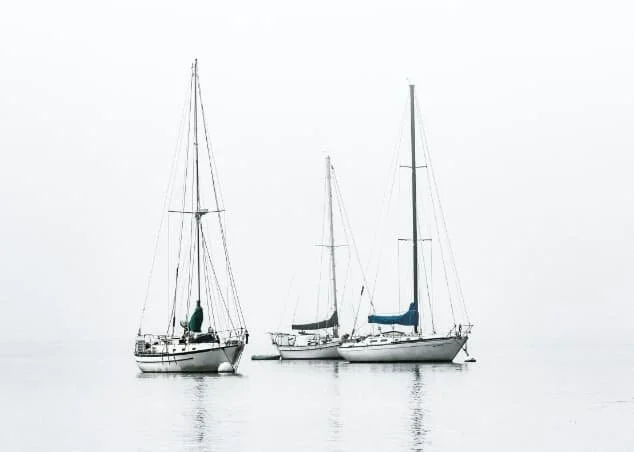 sailboats