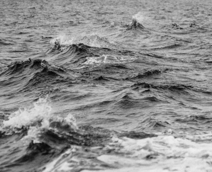 ray-fragapane-PkKIVq1CUuY-unsplash (2) (1).jpg