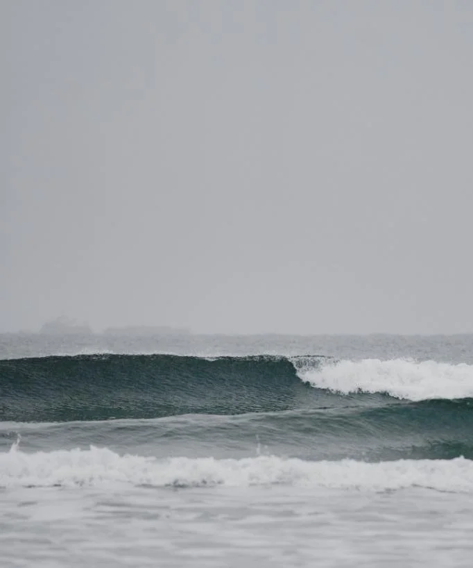 alex-geerts-NtmNGiczG8I-unsplash (1) (1).jpg