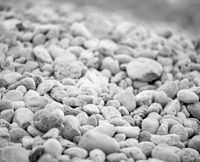 laura-adai-yFUD7BWr80M-unsplash (1).jpg