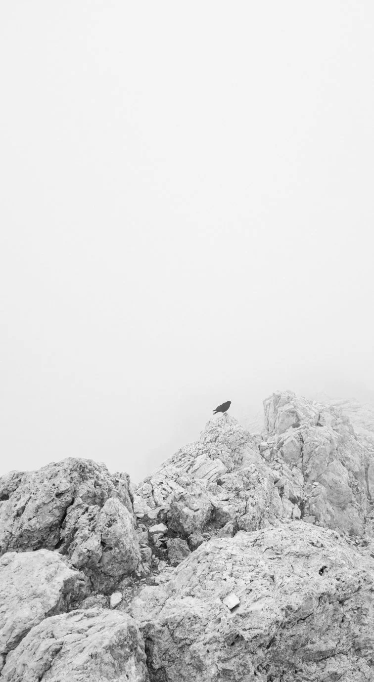 black and white rock photography