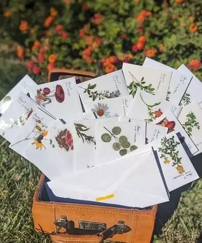 Letters with illustrations on the envelopes