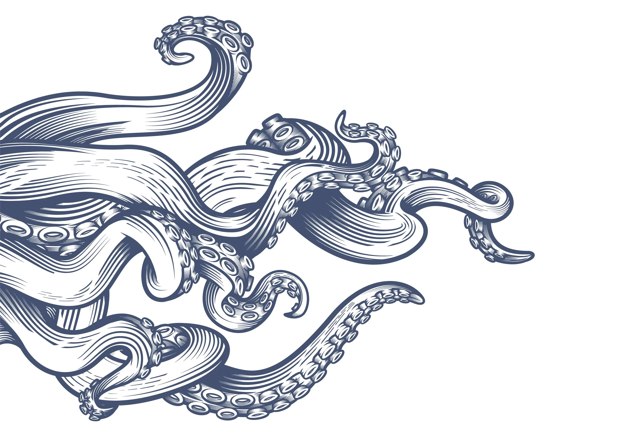 Illustrations