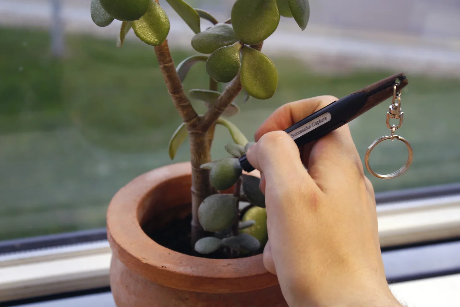 A hand holding a black pen with a keychain attached, writing on the stem of a potted succulent plant near a window.
