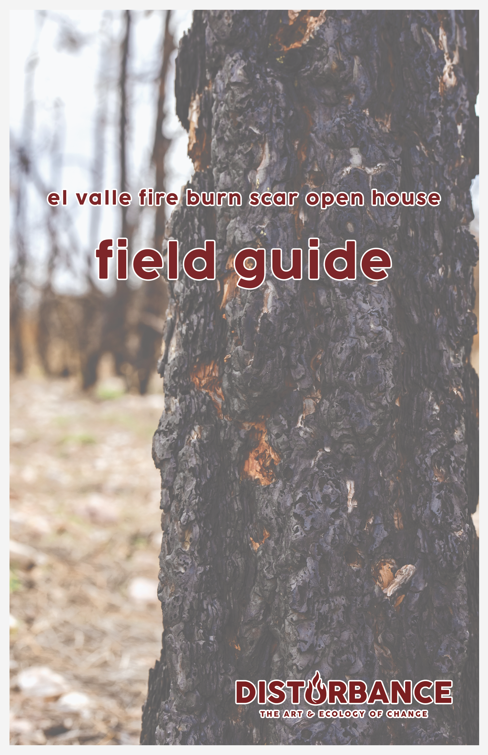 Click image to download complete guide