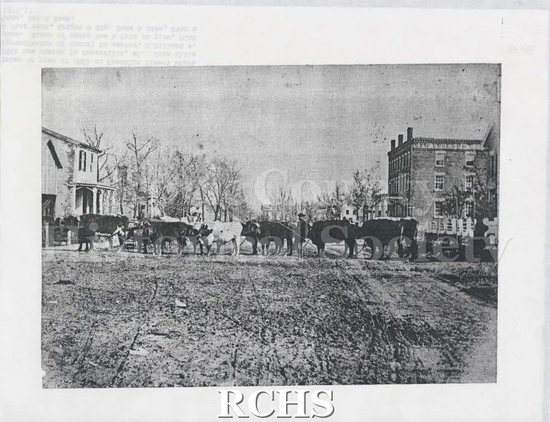 197717-cc8200153717f0fae72e686d.jpg