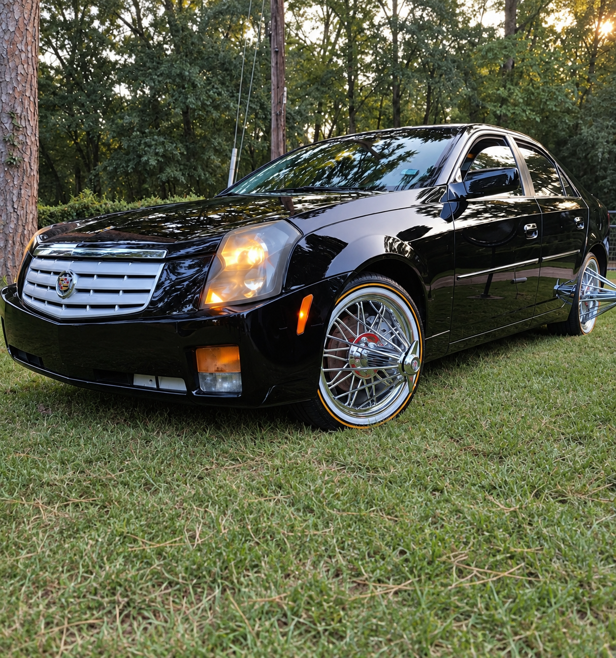 Black caddilac parked on the grass showcasing shiny black paint that has been polised.