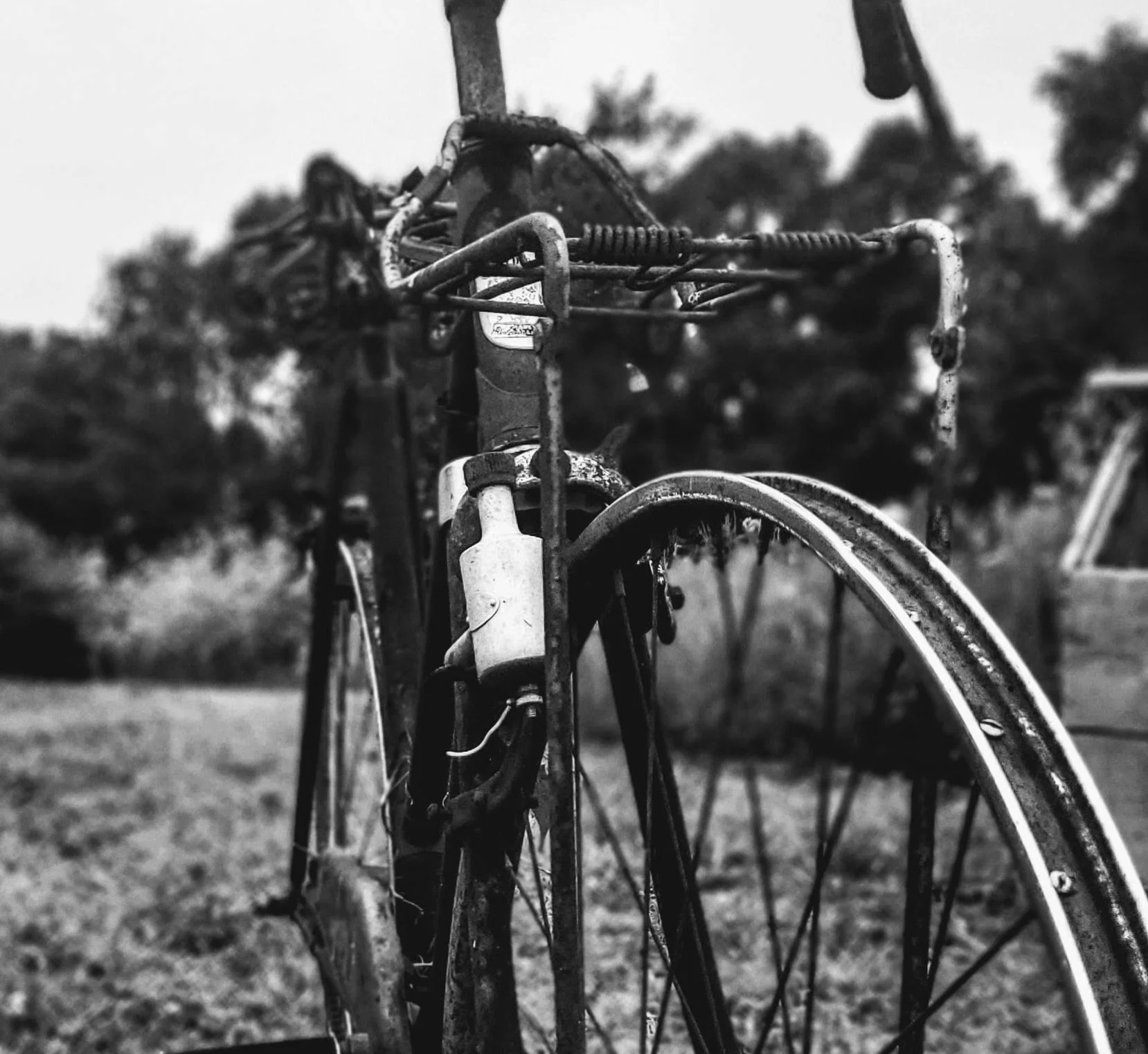 Left Behind, Still Standing copy.jpeg