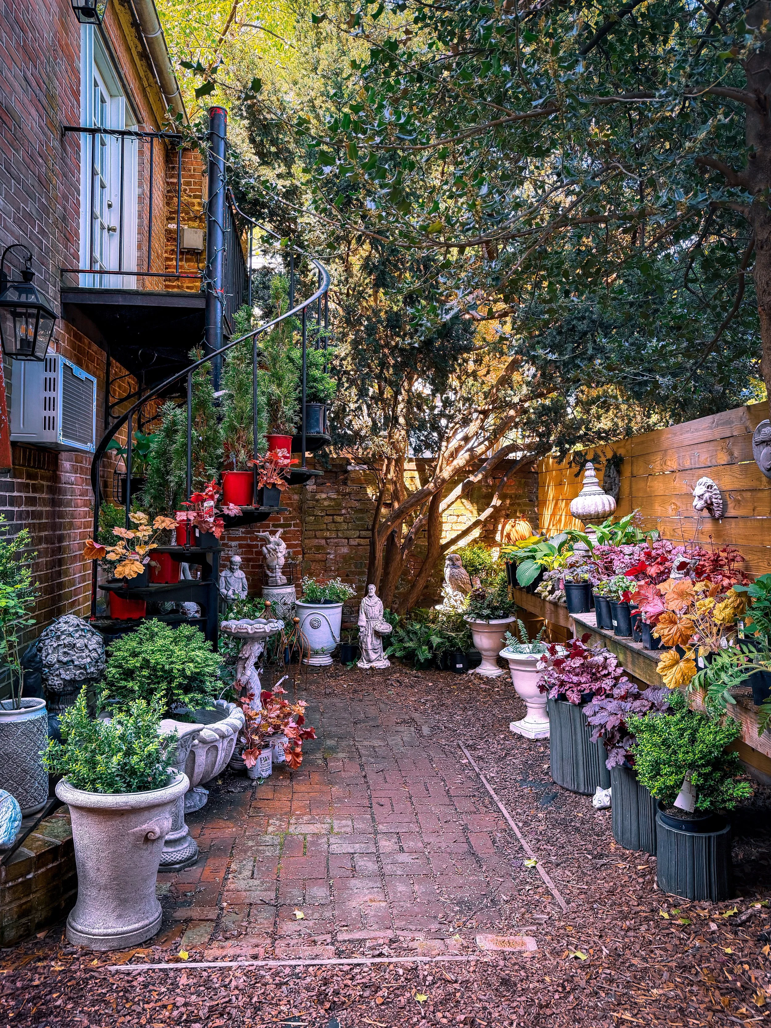 Colorful flower-lined alleyway with potted plants and brick walkway, outdoor lifestyle and branding photography in Frederick Maryland