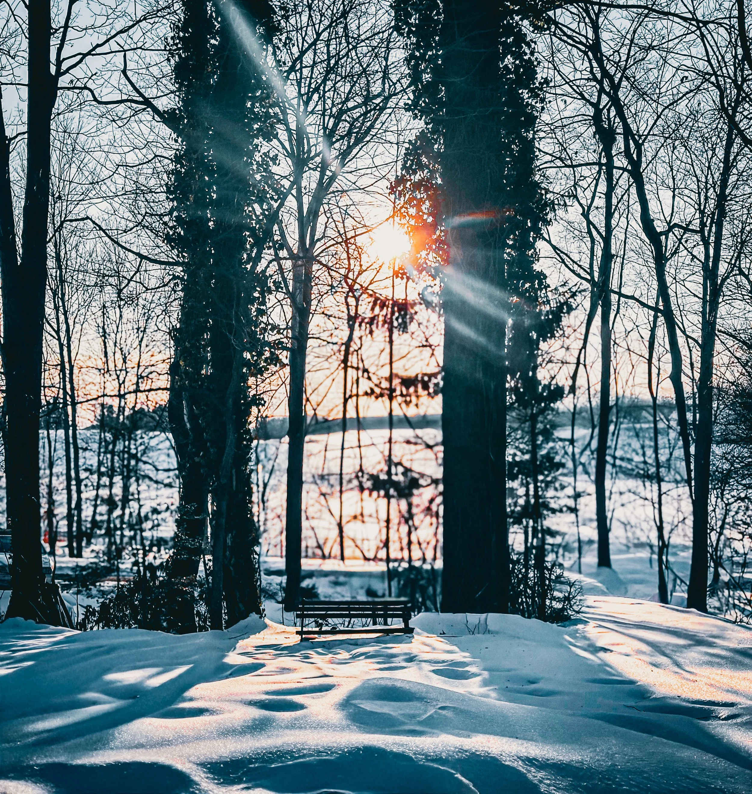 Winter Path
Snow covered footsteps leading to where the woods asked us to meet.