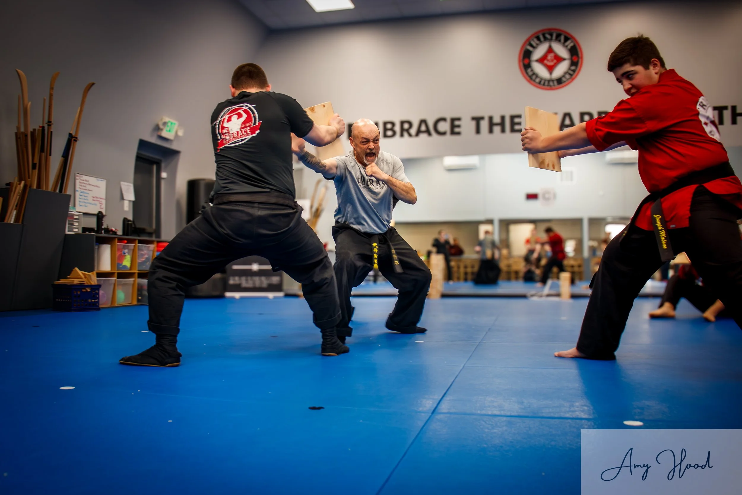 mixed martial arts demonstrating techniques with other instructors