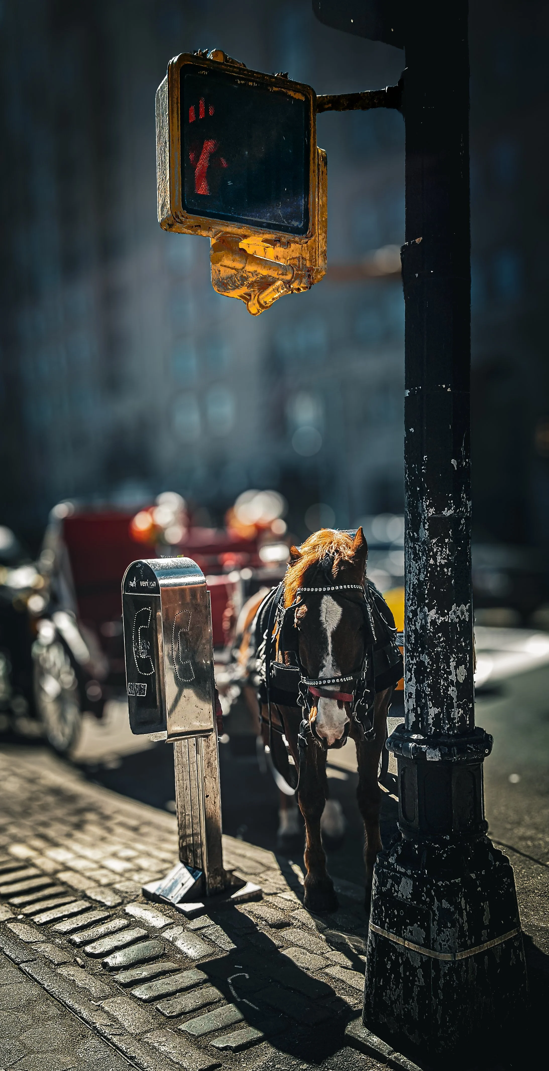 Horse-drawn carriage paused along a quiet street, evoking a timeless moment of traditional city life.