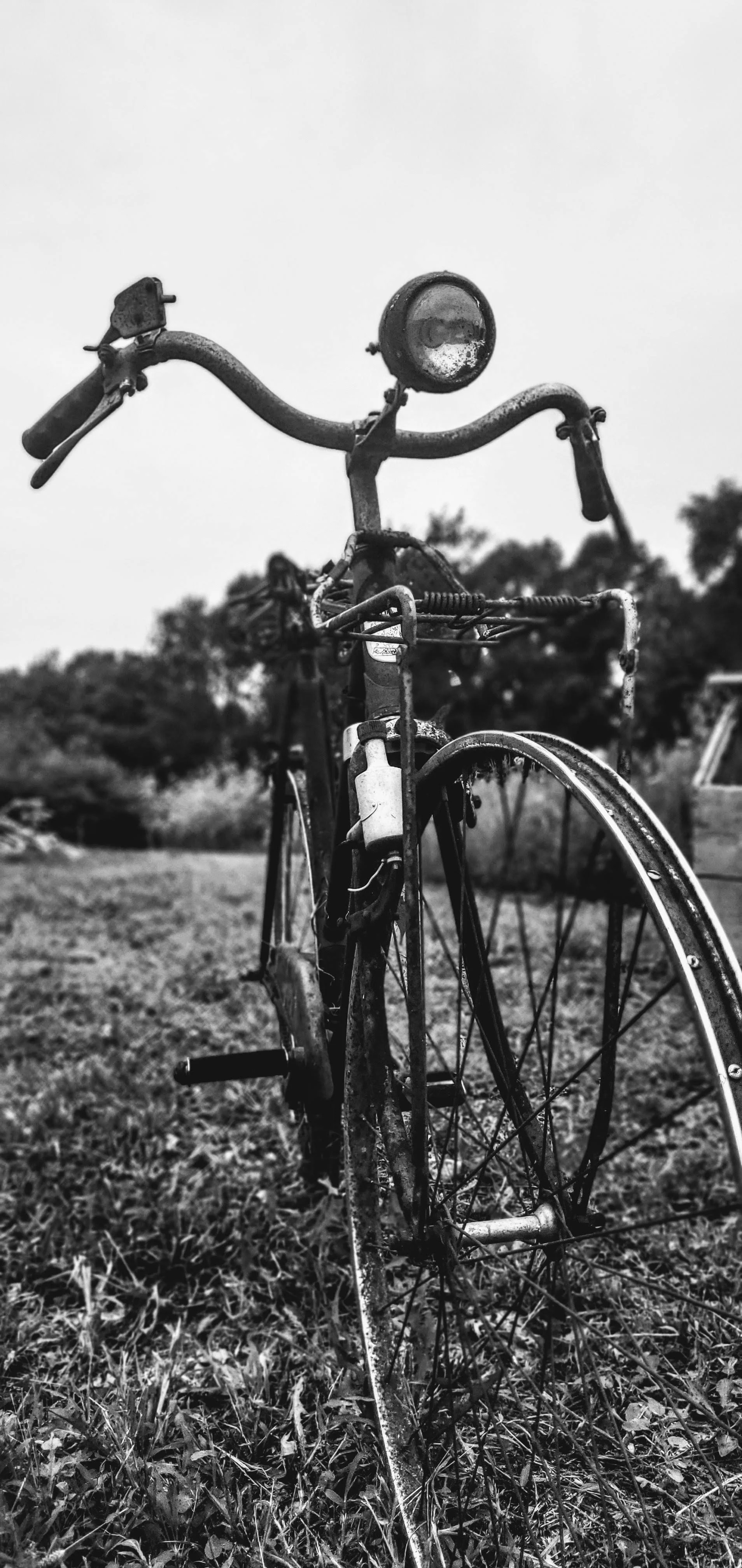 Left Behind, Still Standing - Black & White Bicycle Photography Print
