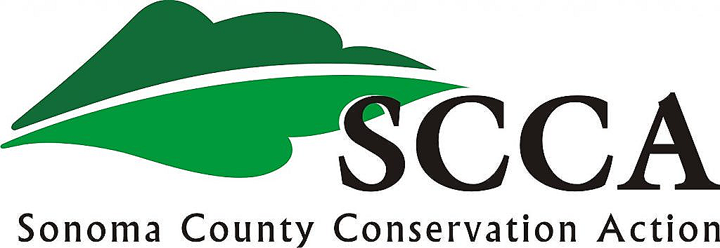 scca_logo_final_color-High-Res-1024x354+%281%29+%281%29.png