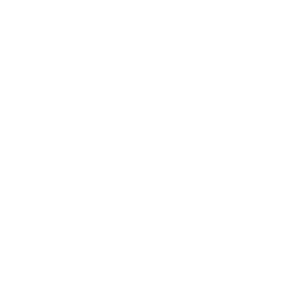 Icon of a speaker emitting sound waves