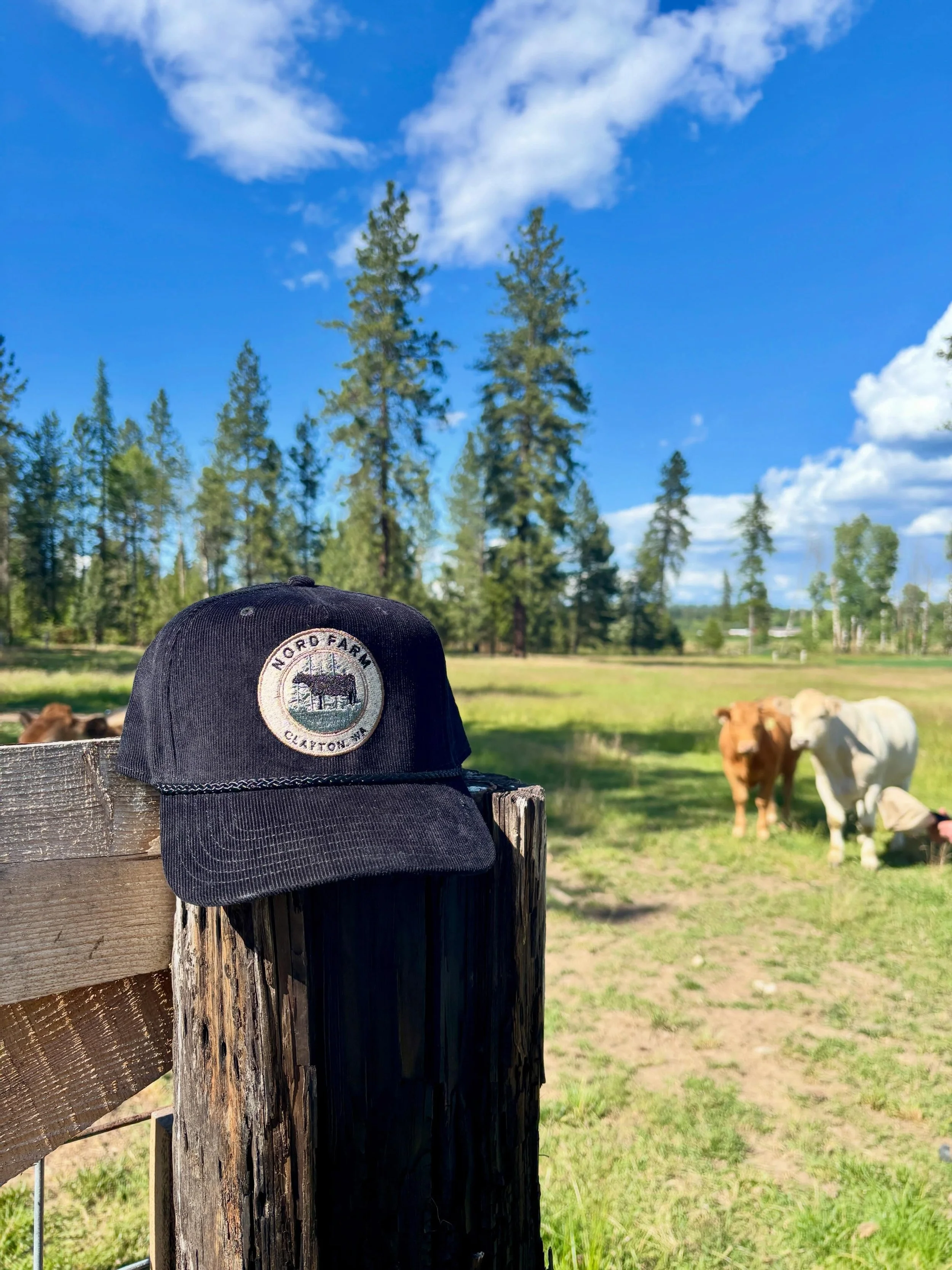 From the embroidery machine to the pasture. 🌲🐄

These custom Nord Farm hats made their way home this week. Seeing custom pieces used where they were designed to be worn is one of the best parts of what I do.

Thank you Nord Farm, for supporting my 
