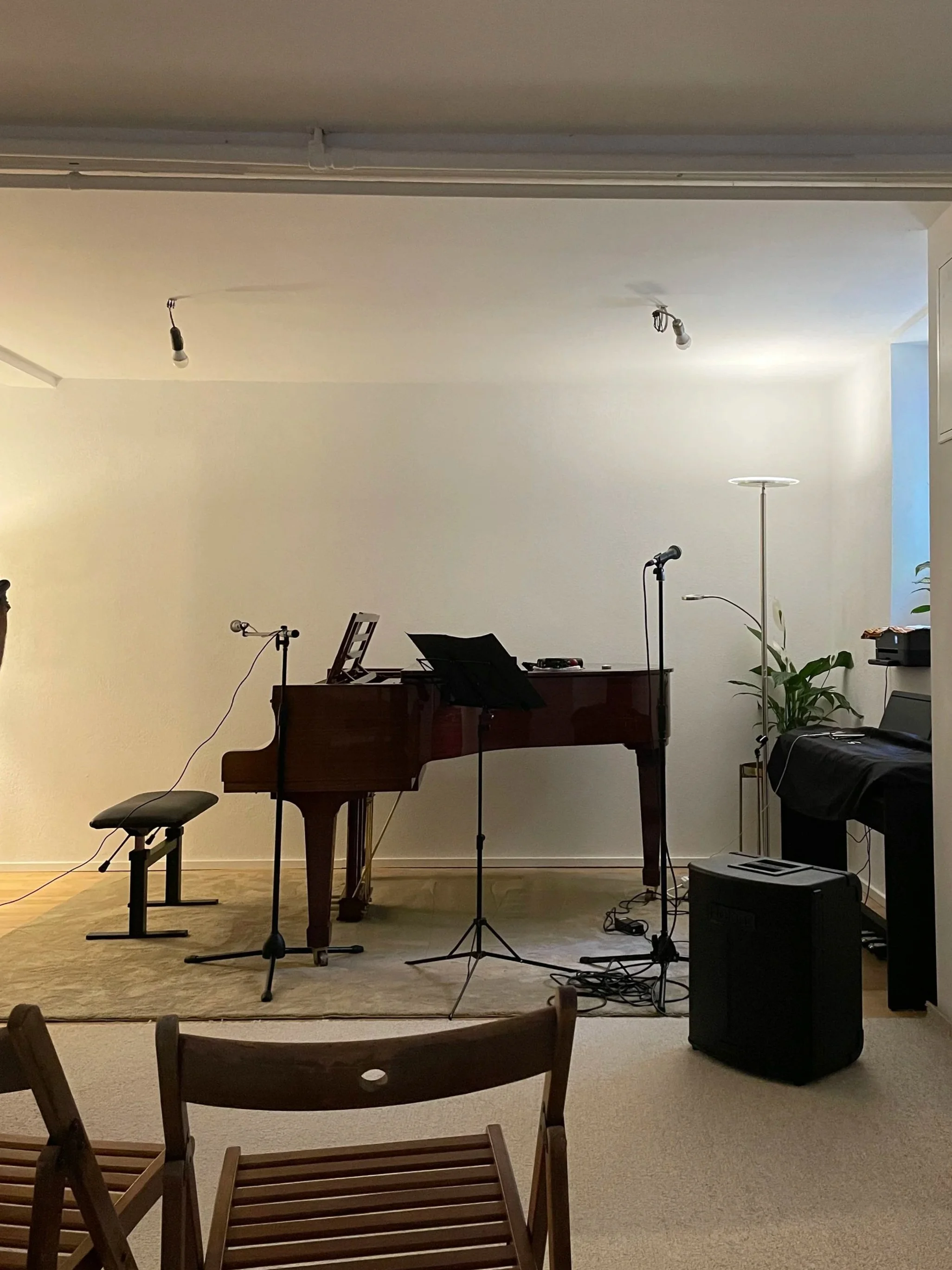 Salonkonzert Juni 2026
