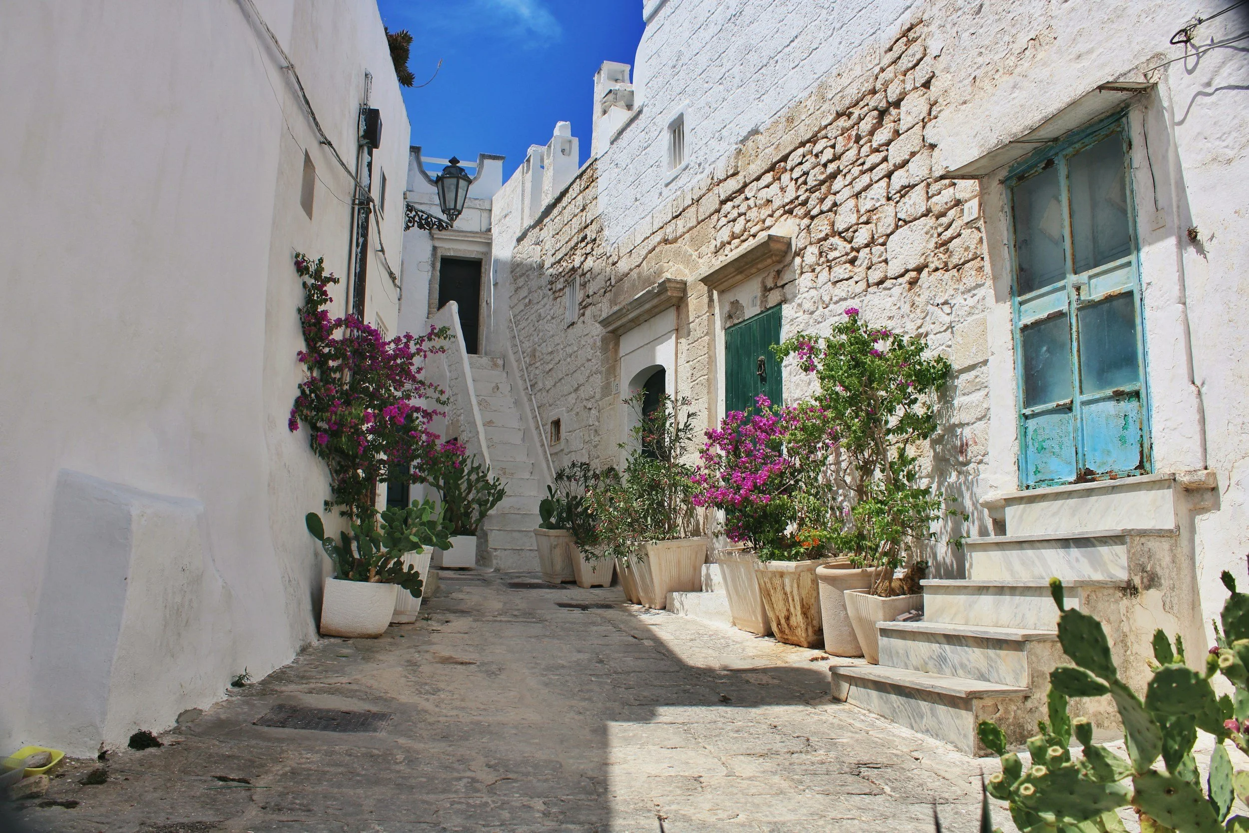 A sunlit stone lane lined with flowers