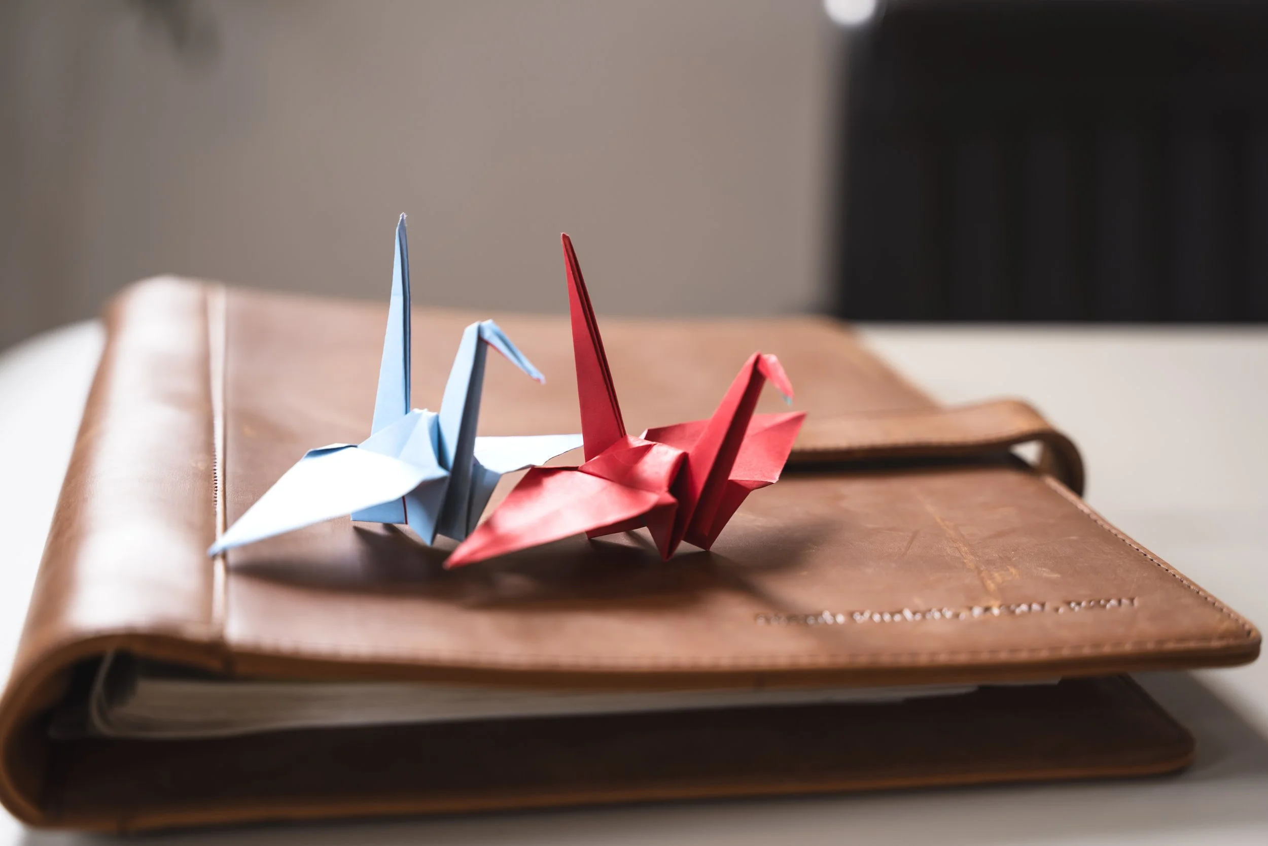 Two paper cranes made in virtual therapy for food anxiety in Ontario
