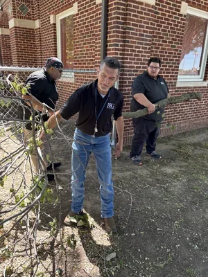 IMG_4172.webp