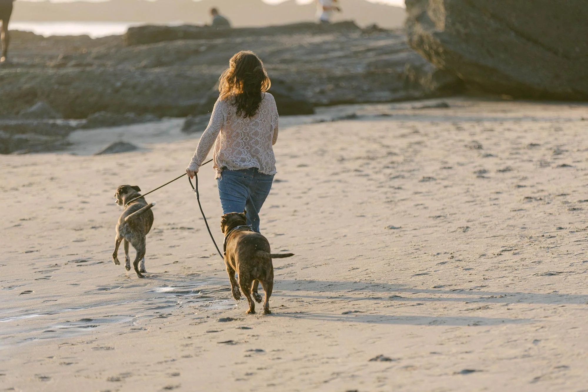 A woman walking on a sandy beach with two dogs during sunset.