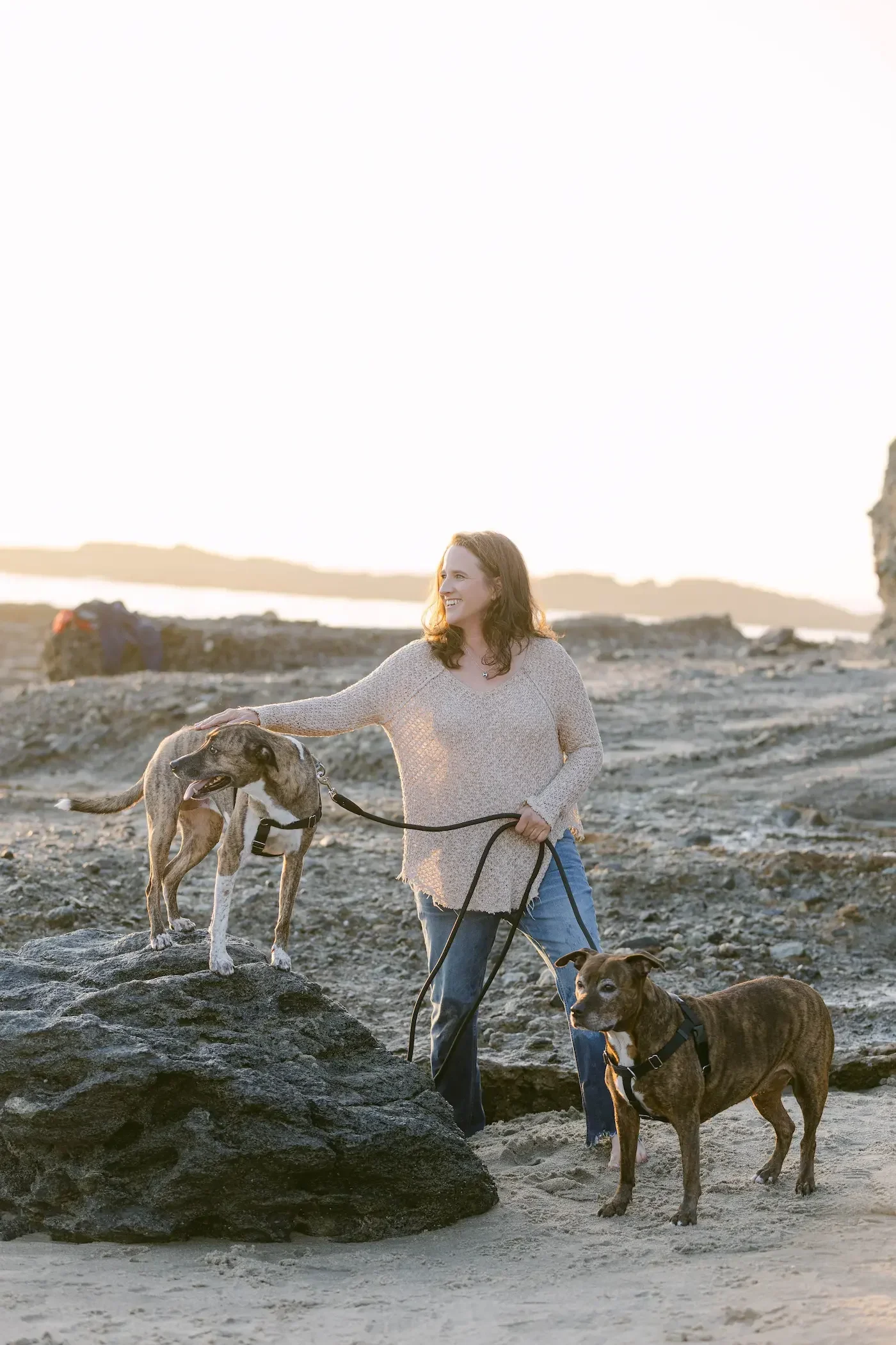 A woman standing on a rocky beach with two dogs, one on a rock and the other on the ground, during sunset.